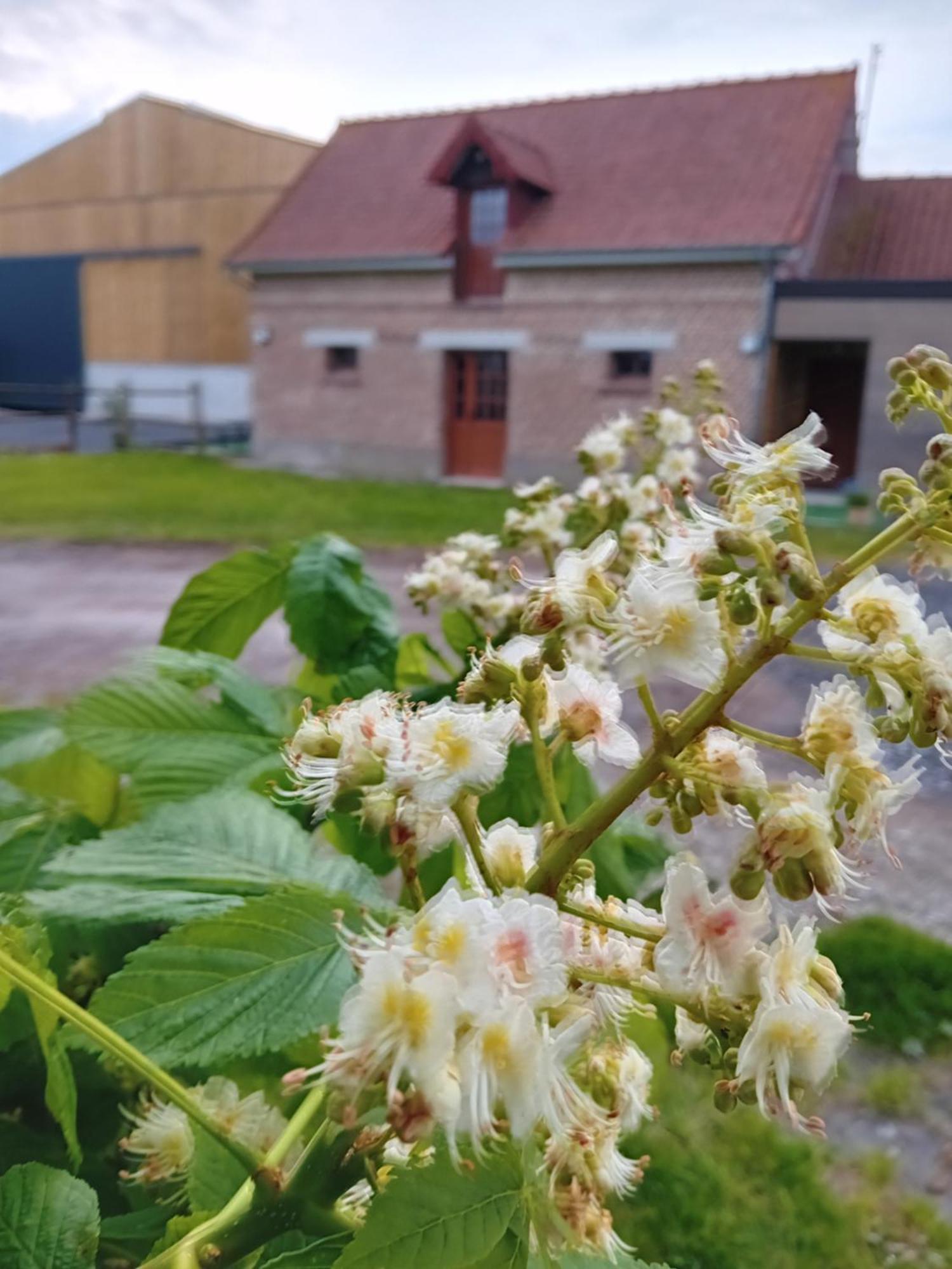 Gite Ferme Du Marronnier Derchigny Bagian luar foto